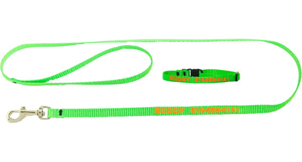 Customized Green Pet Dog Collar Rope Set Dark Purple Thread